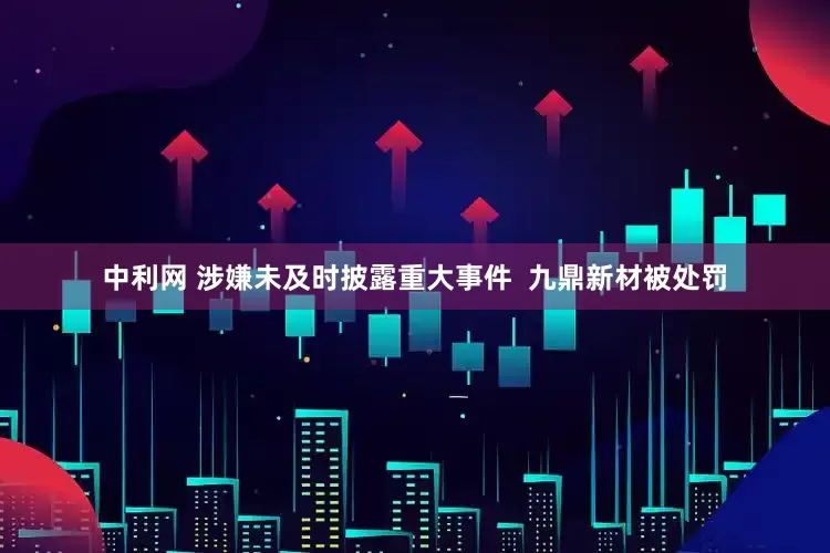 中利网 涉嫌未及时披露重大事件  九鼎新材被处罚
