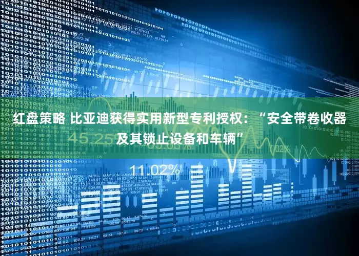 红盘策略 比亚迪获得实用新型专利授权：“安全带卷收器及其锁止设备和车辆”